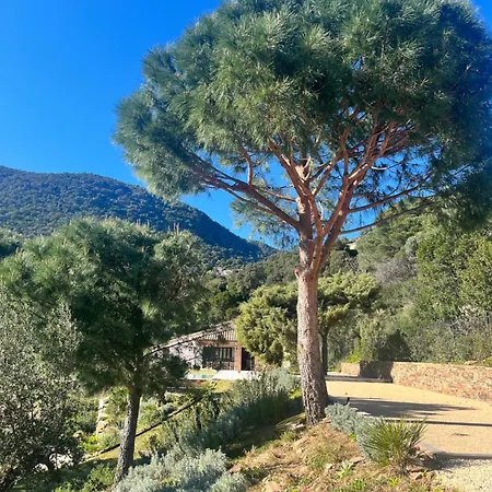 La Maison De La Genette - 5 Etoiles Villa